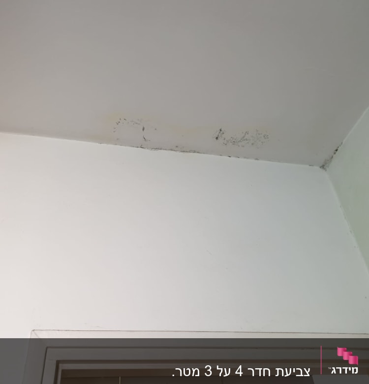 קיר עם סימני עובש ותקרה לבנה